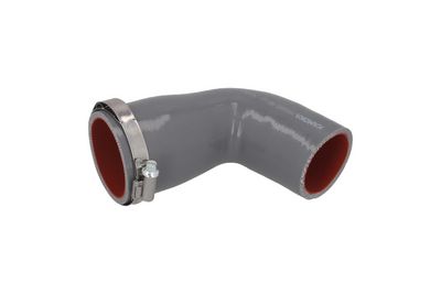 FURTUN EAR SUPRAALIMENTARE