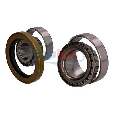 SET RULMENT ROATA JAPKO 412008 2