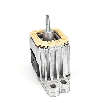 LAGERUNG MOTOR DELPHI TEM271 19