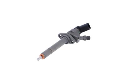 INJECTOR REMANTE 002003000081R 62