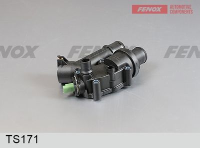 термостат, охладителна течност FENOX TS171