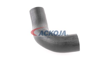 FURTUN EAR SUPRAALIMENTARE ACKOJA A380298 43