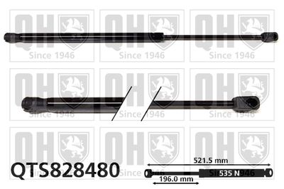 Газовая пружина, крышка багажник QUINTON HAZELL QTS828480 для SKODA RAPID