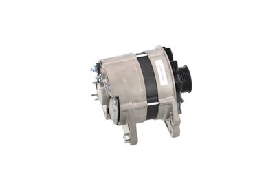 GENERATOR / ALTERNATOR REMANTE 011003000112R 44
