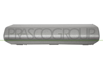 CAPAC CARLIG REMORCARE