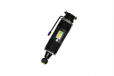 LUFTFEDERBEIN Arnott SK2485 72