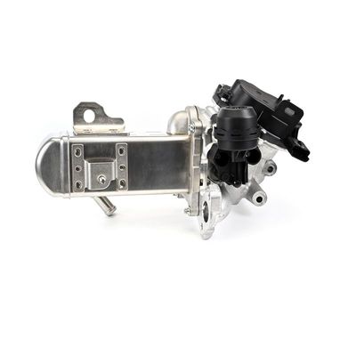 SUPAPA EGR DELPHI EG1054912B1 12