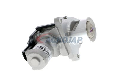 SUPAPA EGR ACKOJA A53630003 52