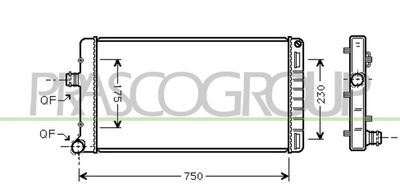 Радиатор, охлаждение двигателя PRASCO FT133R004 для FIAT PUNTO