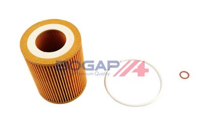 BOGAP Alyvos filtras