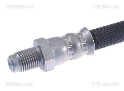 FURTUN FRANA TRISCAN 815025152 1