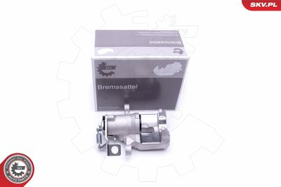 Brake Caliper 45SKV474