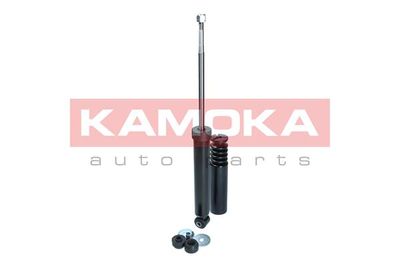 Shock Absorber 2000978