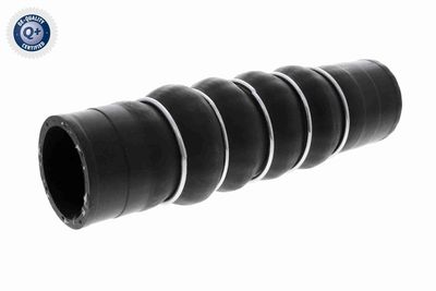 FURTUN EAR SUPRAALIMENTARE