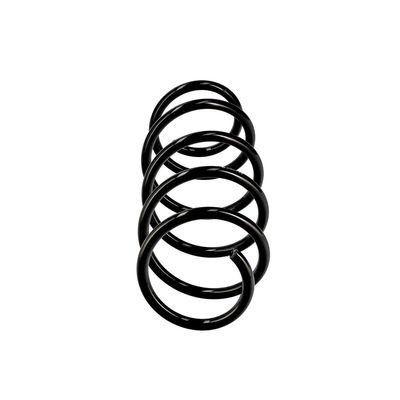 ARC SPIRAL EIBACH R10344 1
