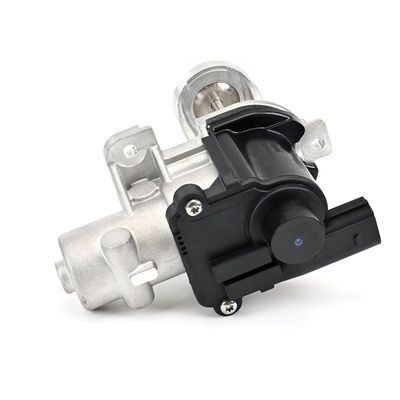 SUPAPA EGR DELPHI EG1026012B1 12