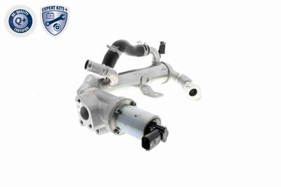 MODUL-EGR ACKOJA A52630018 9