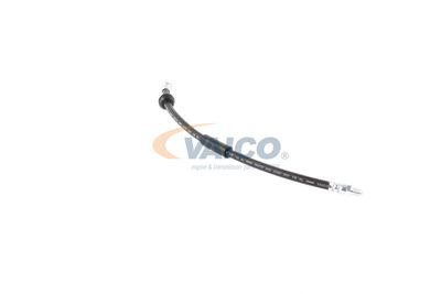 FURTUN FRANA VAICO V201908 42