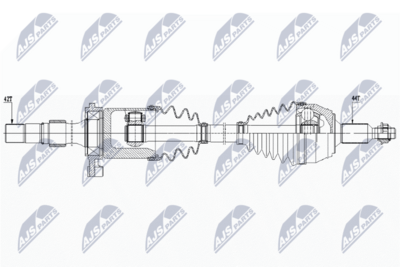 NPW-WW-243