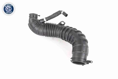 FURTUN EAR SUPRAALIMENTARE ACKOJA A520641 3