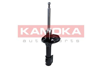 Shock Absorber 2000305