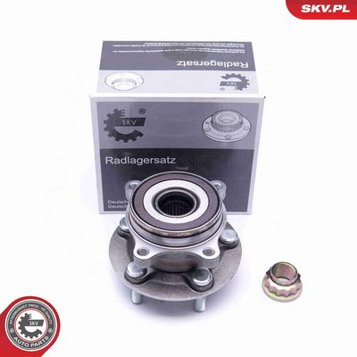 SET RULMENT ROATA ESEN SKV 29SKV255