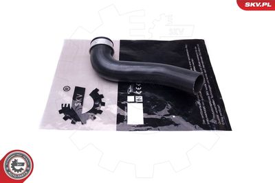 FURTUN EAR SUPRAALIMENTARE