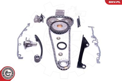 Timing Chain Kit 21SKV241