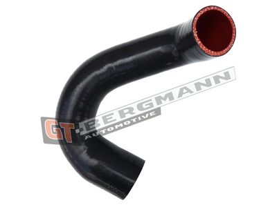 GT-BERGMANN Automotive - Hadica plniaceho vzduchu (hadica turba) VW , GT52-570