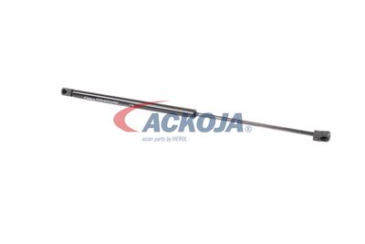 AMORTIZOR PORTBAGAJ ACKOJA A320132 16
