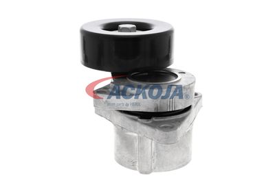 INTINZATOR CUREA CUREA DISTRIBUTIE ACKOJA A380332 19