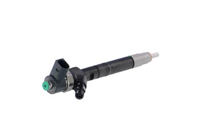 INJECTOR REMANTE 002003000141R 34