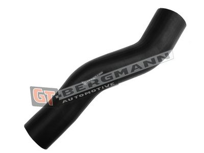 GT-BERGMANN Automotive Kompresoriaus padavimo žarna