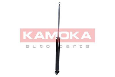 Shock Absorber 2001023