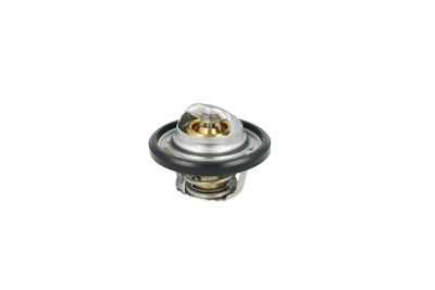 TERMOSTAT LICHID RACIRE NRF 725544 24