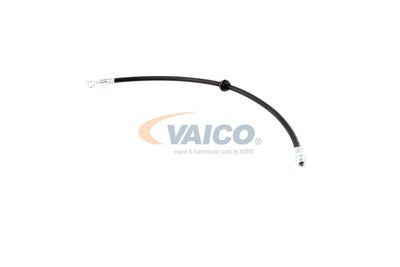 FURTUN FRANA VAICO V201909 16