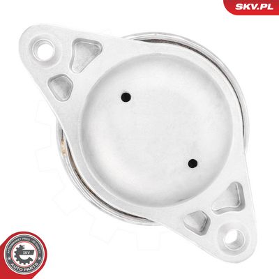 Zavěšení motoru ESEN SKV 75SKV323