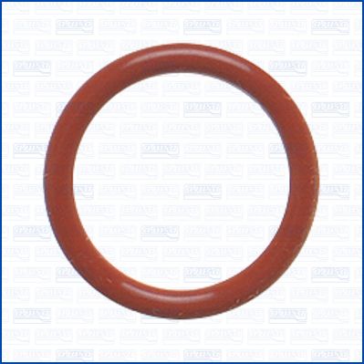 GARNITURA CONDUCTA LICHID DE RACIRE