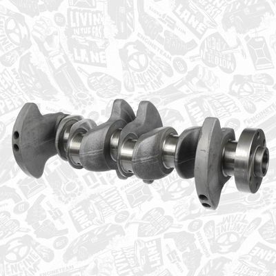 ARBORE COTIT ET ENGINETEAM HK0219 2