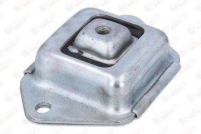 BUCSA PUNTE BIRTH 53920 5