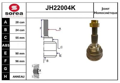 SNRA Homokineet reparatie set, aandrijfas (JH22004K)