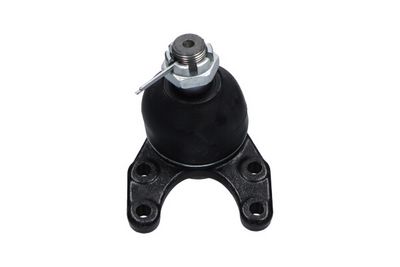Kavo Parts Šarnyras / girgždukas