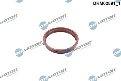 Dr.Motor Automotive Tarpiklis, turbinos oro žarna