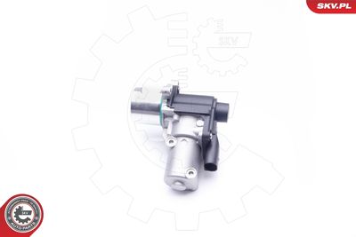 EGR Valve 14SKV164