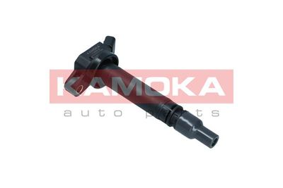 Ignition Coil 7120012