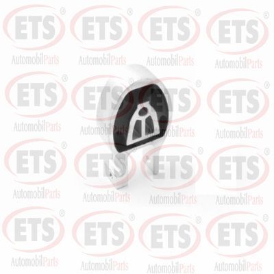 окачване, двигател ETS 06.EM.211