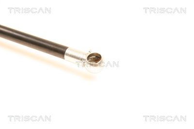 AMORTIZOR PORTBAGAJ KAWE 871050230 2