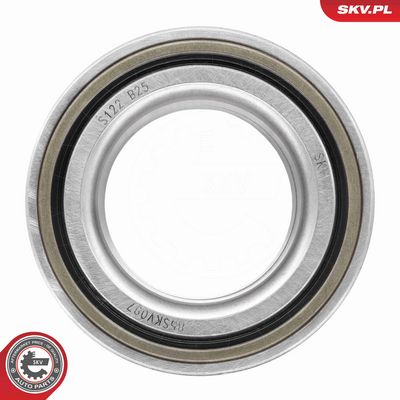 SET RULMENT ROATA ESEN SKV 85SKV097 2