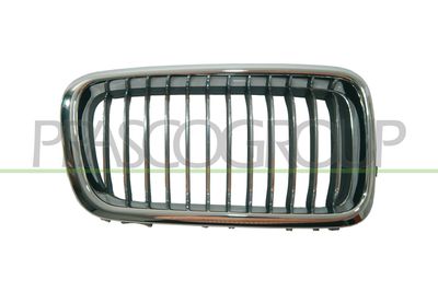 GRILA RADIATOR PRASCO BM0982013
