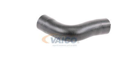 KüHLERSCHLAUCH VAICO V401343 41